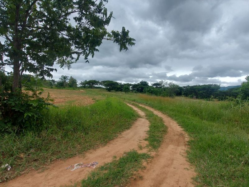 A view of an undeveloped commercial land plot featuring a dirt access road and natural vegetation under a cloudy sky.