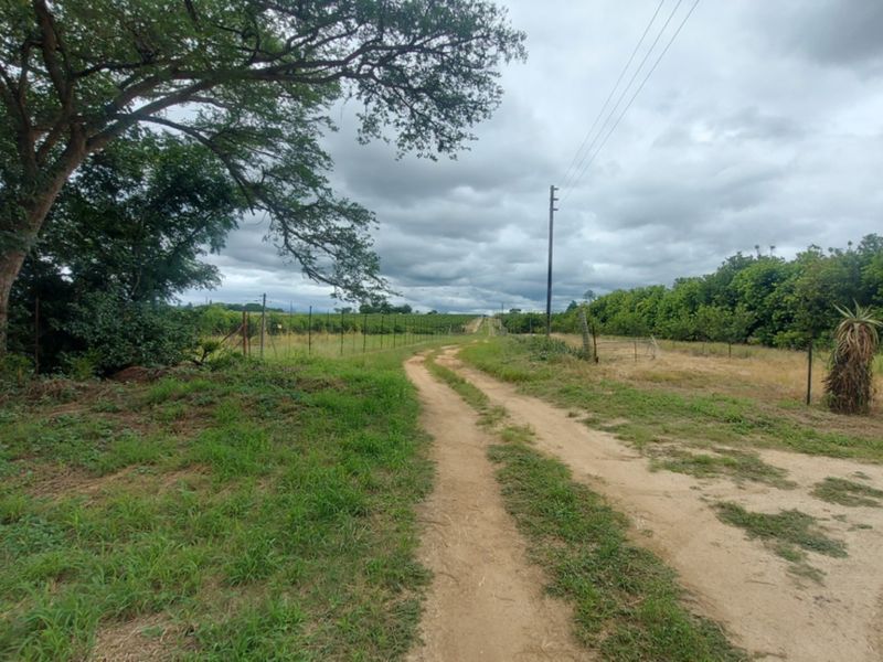A view of a dirt access road leading through a vacant commercial land plot, featuring wire fencing and mature trees.