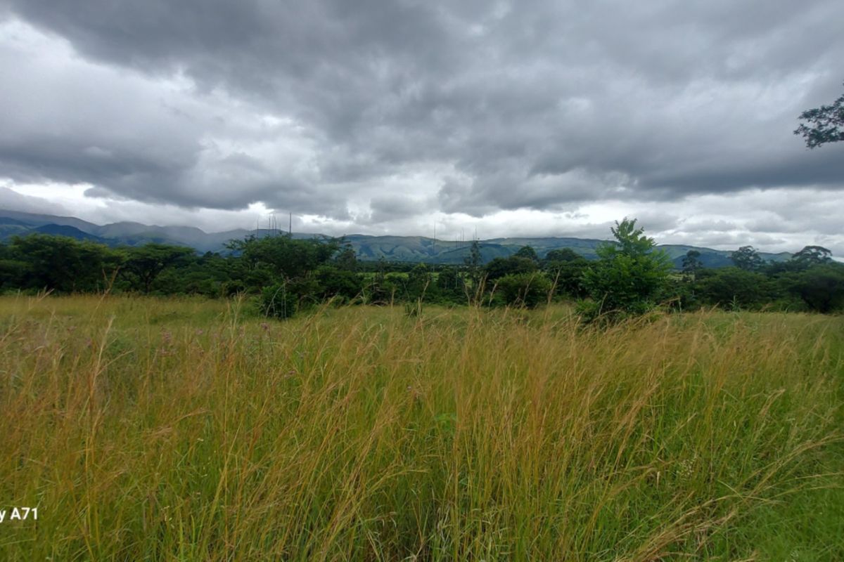 A scenic view of an open grassy field with a mountain range in the background under a cloudy sky.