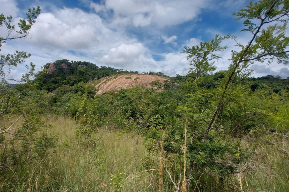 A scenic view of the natural landscape featuring a prominent rock formation and surrounding indigenous vegetation on the vacant commercial land.