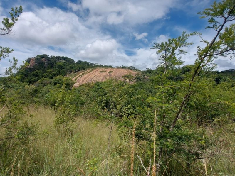 A scenic view of the natural landscape featuring a prominent rock formation and surrounding indigenous vegetation on the vacant commercial land.
