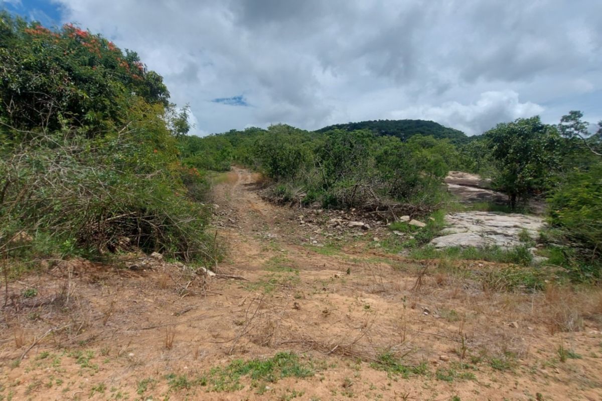 A view of the vacant commercial land featuring an unpaved access track, natural rock formations, and established indigenous vegetation.