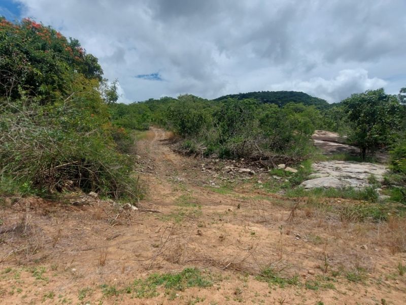 A view of the vacant commercial land featuring an unpaved access track, natural rock formations, and established indigenous vegetation.