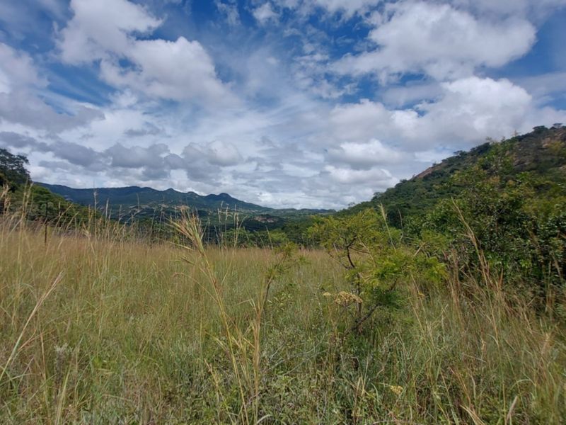 A scenic view of open, undeveloped land featuring natural grasses and distant mountain ranges under a cloudy sky.
