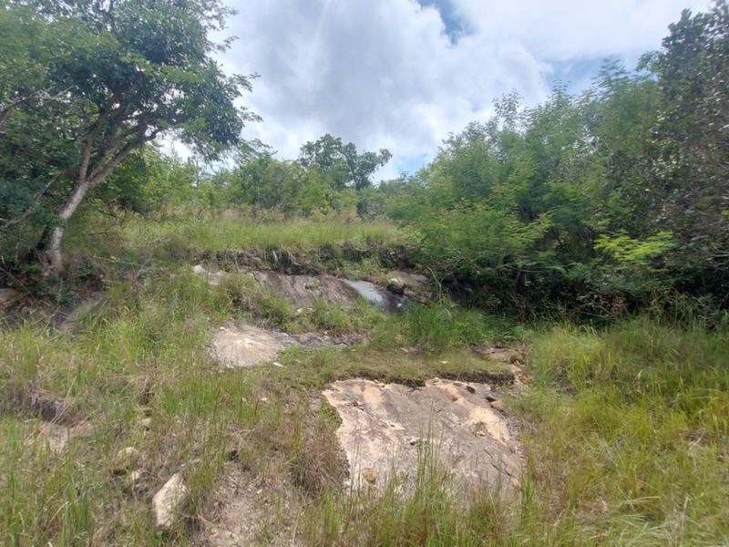 A view of undeveloped vacant land featuring natural rock formations and established indigenous vegetation.