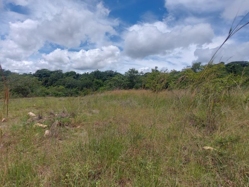 A view of an undeveloped, grassy plot of land with natural vegetation and trees in the background.