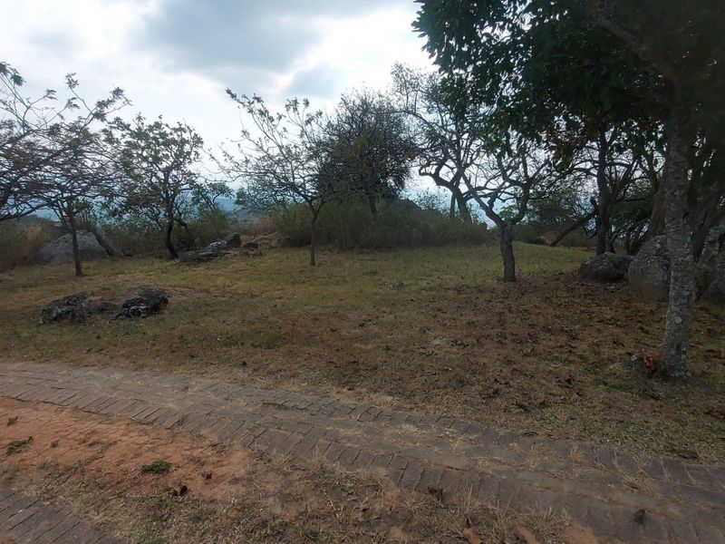 A natural garden area featuring mature trees, large rock formations, and a paved driveway edge on a farm property.