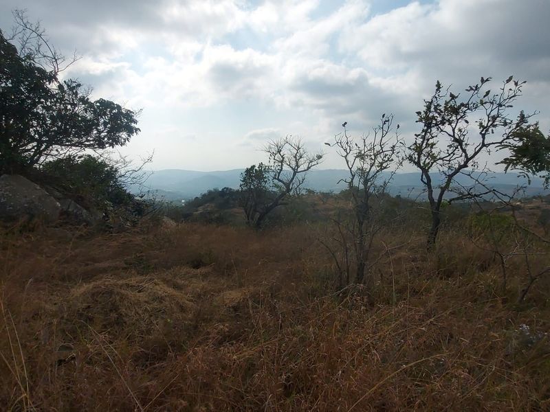 A scenic landscape view overlooking rolling hills and natural vegetation on the farm property.