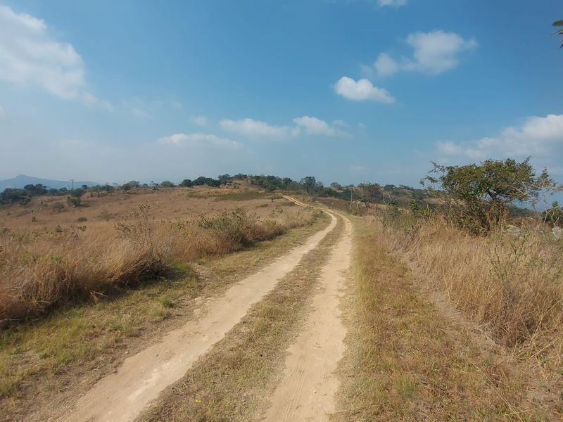 A scenic view of a dirt access road winding through the open, undeveloped landscape of the farm property.