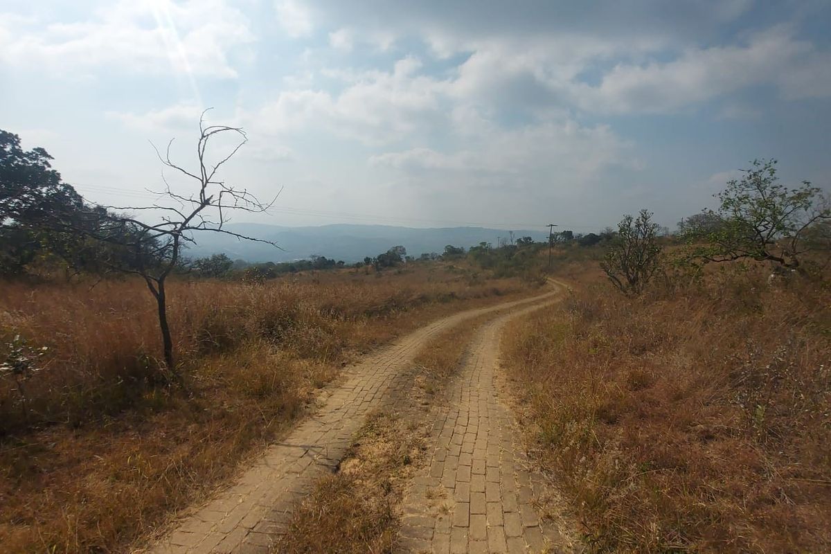 A scenic view of the farm landscape featuring a paved driveway winding through the natural veld towards distant hills.