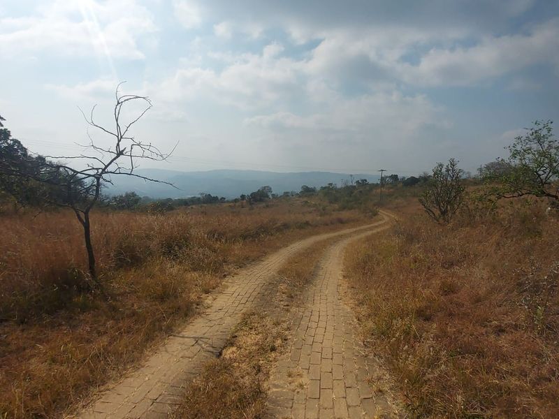 A scenic view of the farm landscape featuring a paved driveway winding through the natural veld towards distant hills.