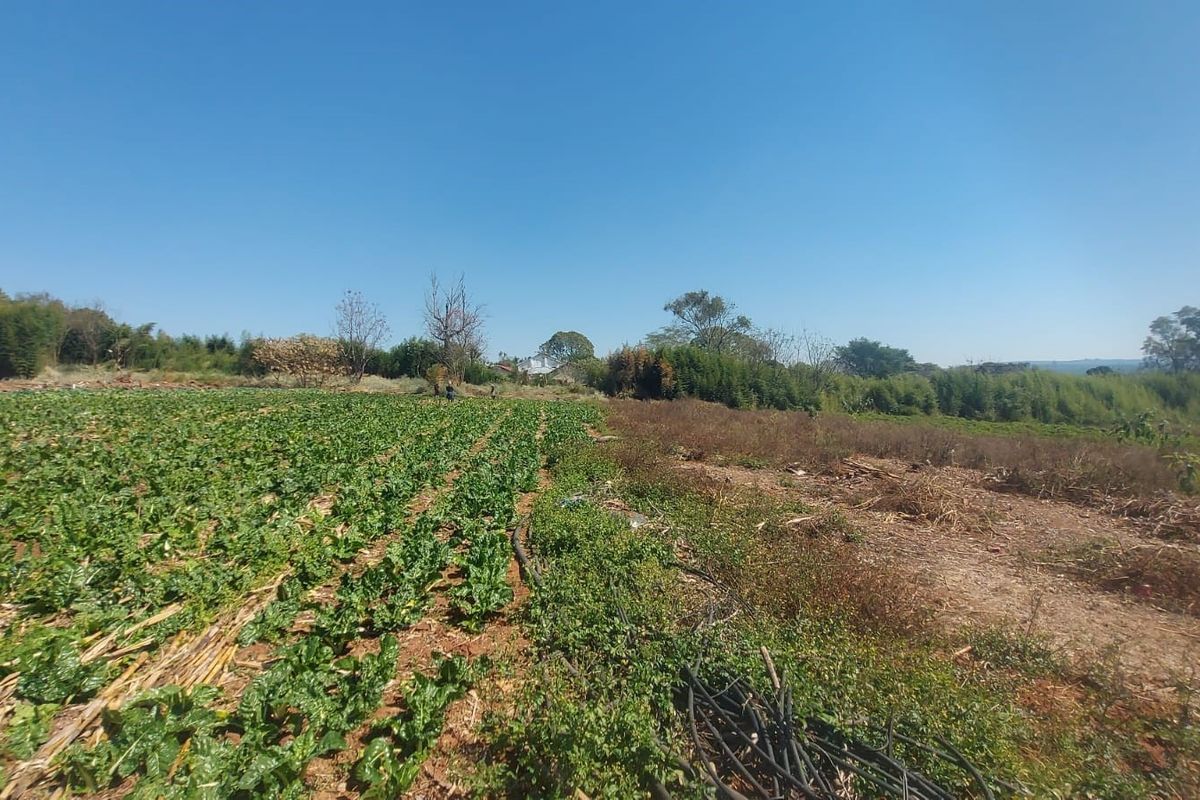 This piece of vacant land is 2,4197 Hectare in size and ideal for building your dream home. - Photo 5