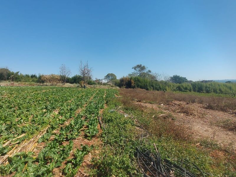 A view of a cultivated agricultural plot featuring rows of crops and an irrigation system on open land.