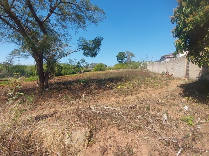 A view of a vacant commercial land plot featuring mature trees and a perimeter boundary wall.