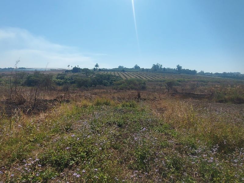 A wide-angle view of the vacant commercial land, showcasing the natural landscape and surrounding terrain.