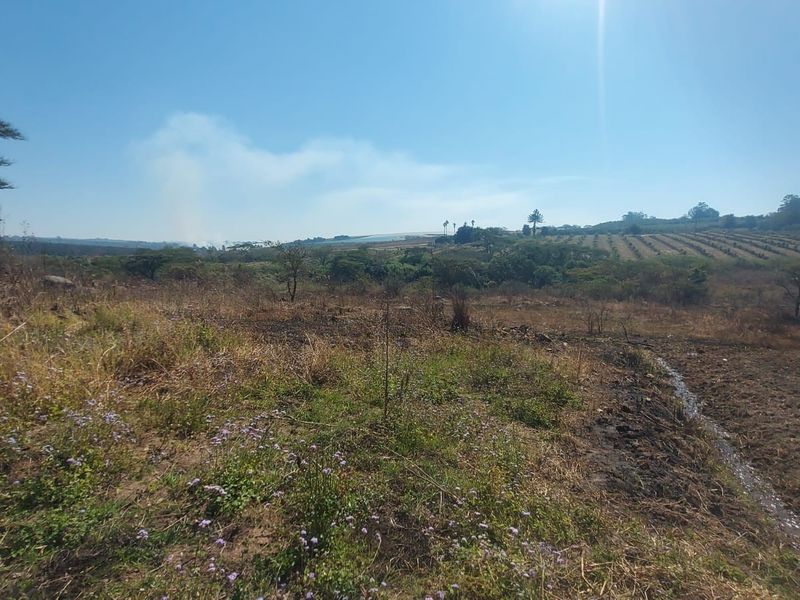 A wide-angle view of undeveloped commercial land featuring natural vegetation and open terrain under a clear sky.