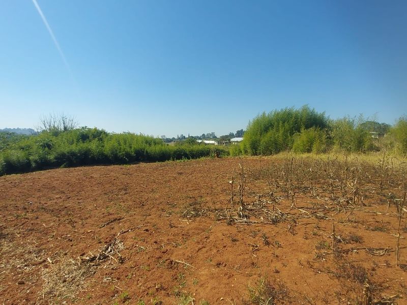 A view of a vacant commercial land plot featuring cleared soil and natural vegetation borders under a clear sky.
