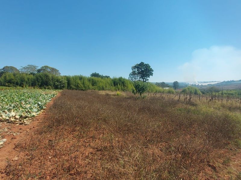 A view of a vacant commercial land plot featuring cultivated crops, natural vegetation, and an unpaved access path.