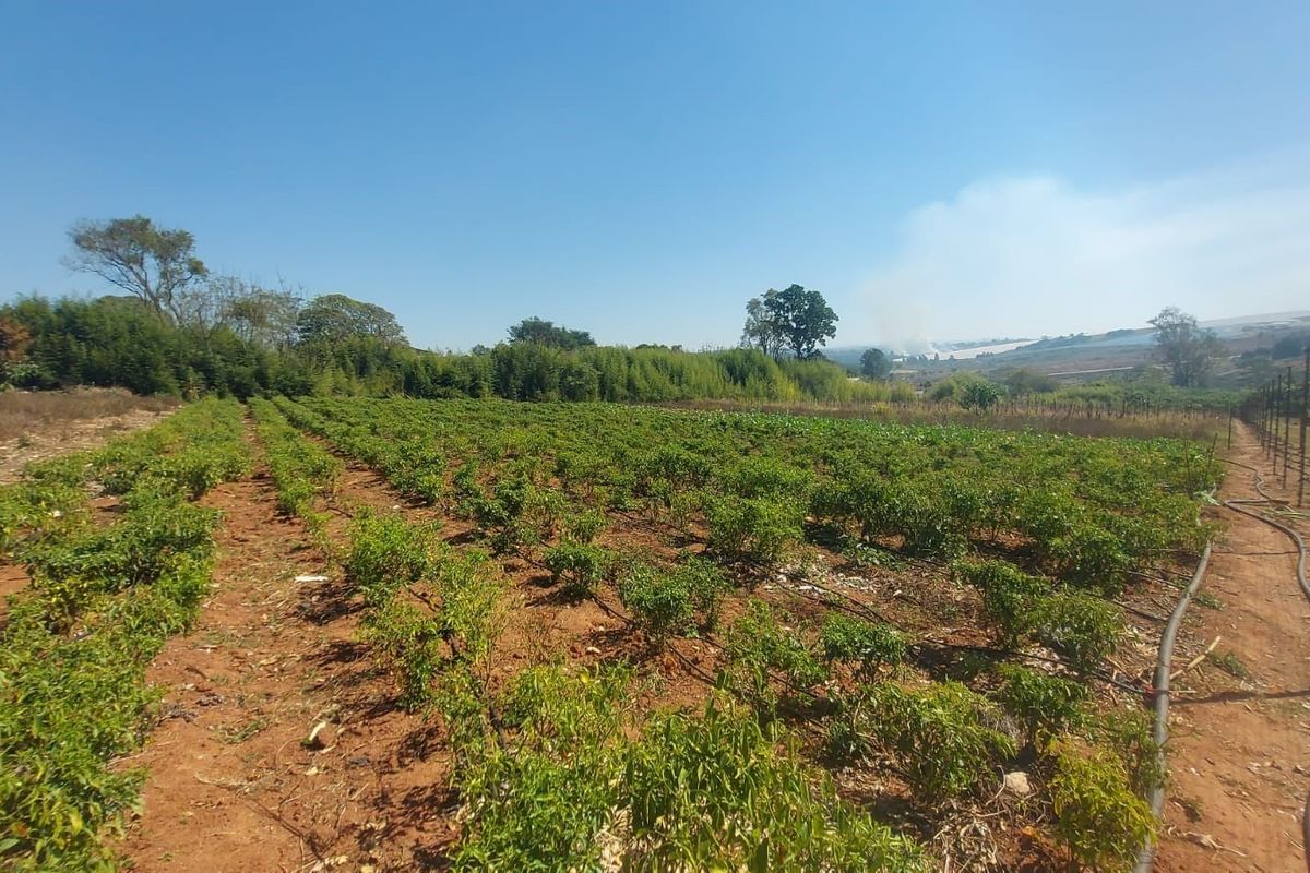 This piece of vacant land is 2,4197 Hectare in size and ideal for building your dream home. - Photo 3