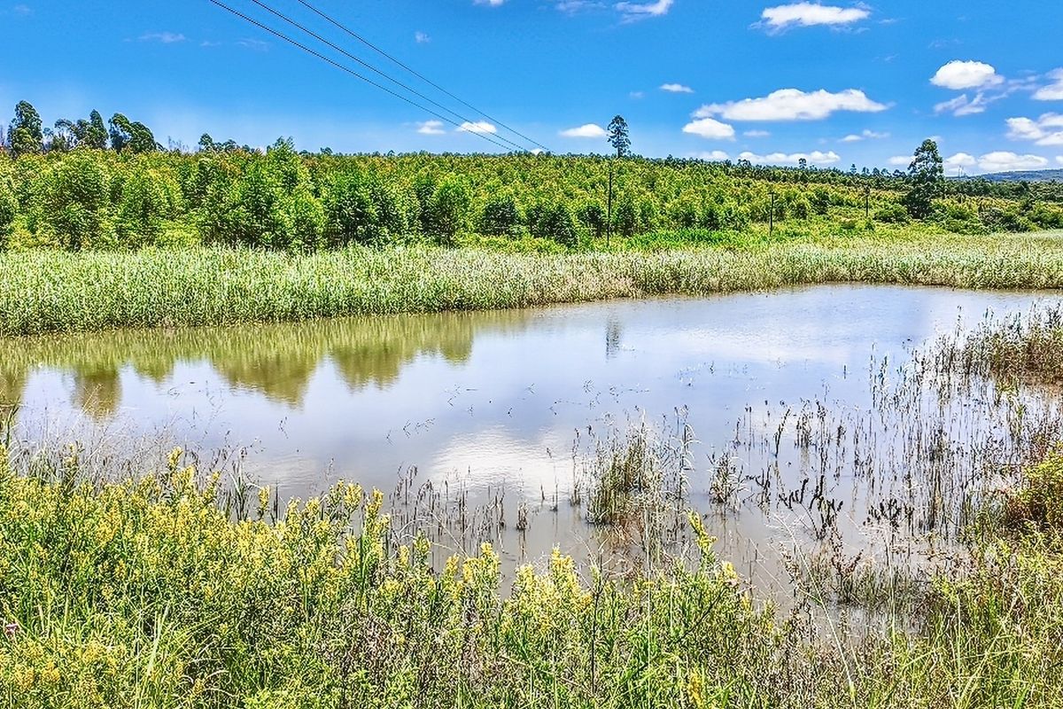 6 Bedroom Farm for sale in White River Rural - Photo 3