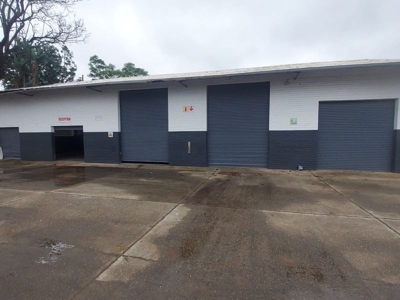 Industrial warehouse exterior featuring multiple roller shutter doors and a large concrete apron for vehicle access and loading.