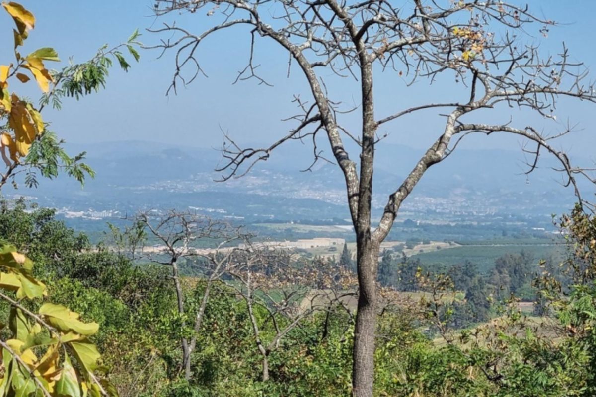 4,4Hectare Vacant Land NELSPRUIT - Kingstone Vale Area, just around the corner from the University - Photo 2