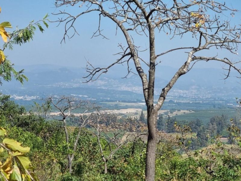 4,4Hectare Vacant Land NELSPRUIT - Kingstone Vale Area, just around the corner from the University - Photo 2