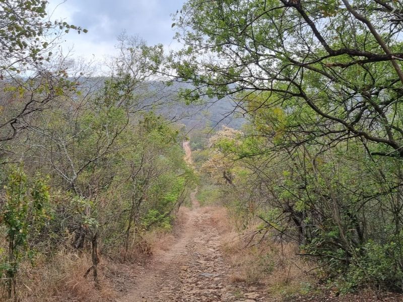 4,4Hectare Vacant Land NELSPRUIT - Kingstone Vale Area, just around the corner from the University - Photo 10