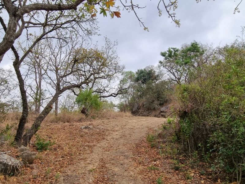 4,4Hectare Vacant Land NELSPRUIT - Kingstone Vale Area, just around the corner from the University - Photo 8