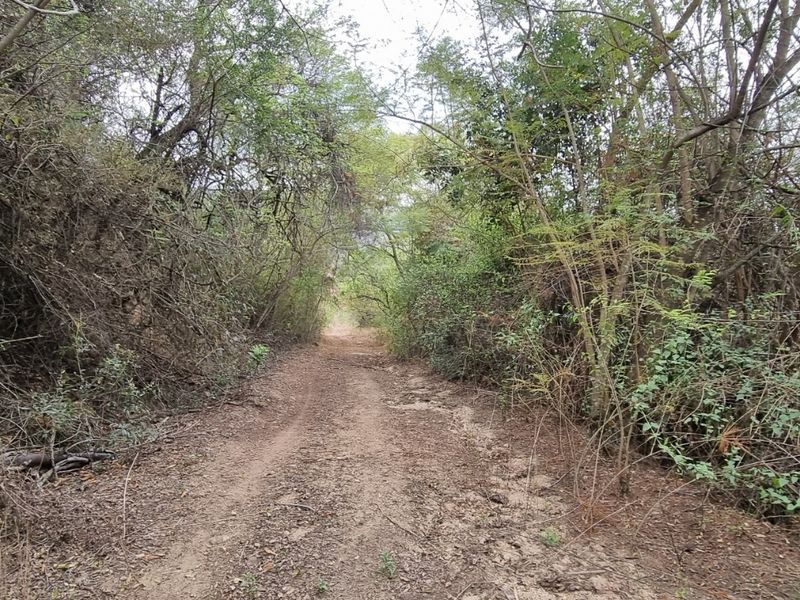 4,4Hectare Vacant Land NELSPRUIT - Kingstone Vale Area, just around the corner from the University - Photo 9