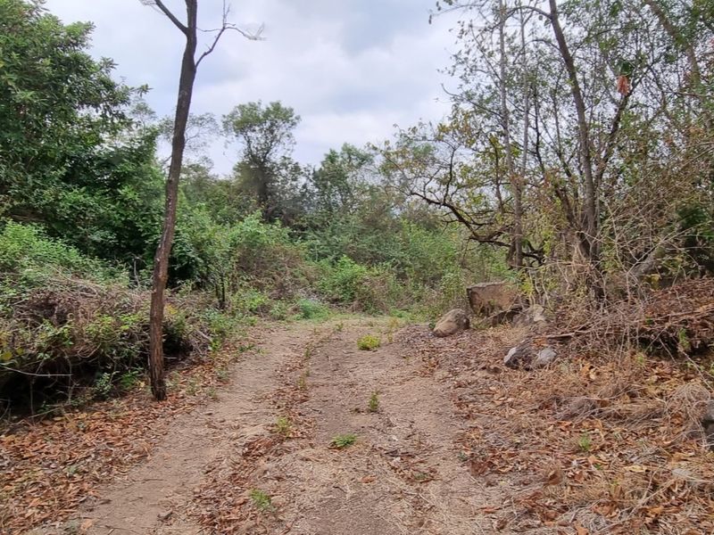 4,4Hectare Vacant Land NELSPRUIT - Kingstone Vale Area, just around the corner from the University - Photo 7