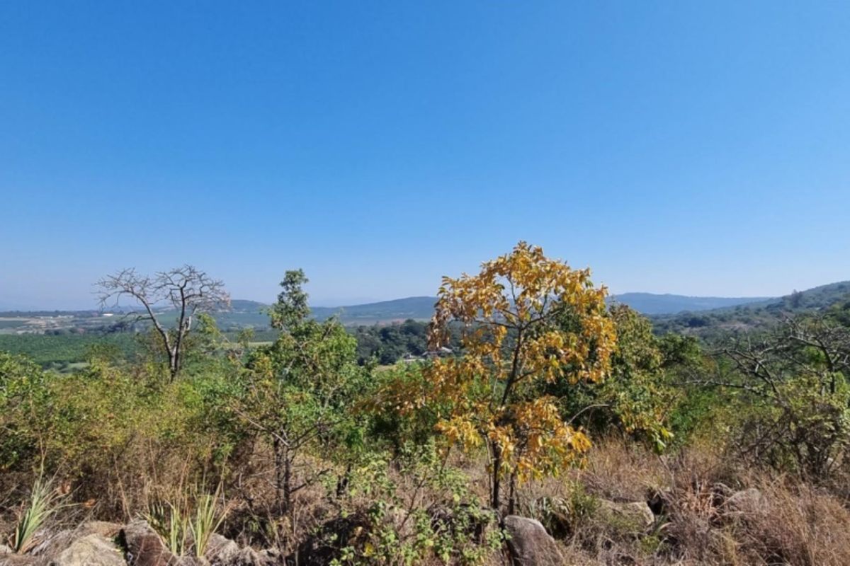 4,4Hectare Vacant Land NELSPRUIT - Kingstone Vale Area, just around the corner from the University - Photo 4
