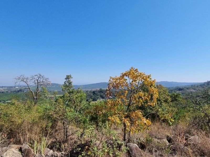 4,4Hectare Vacant Land NELSPRUIT - Kingstone Vale Area, just around the corner from the University - Photo 4