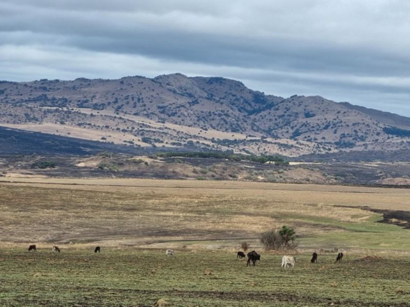 Expansive view of open farm pasture land with a mountain range backdrop under a cloudy sky.