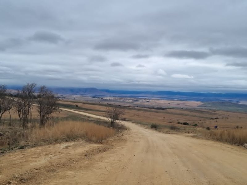 A view of a rural dirt road leading through an expansive open landscape with distant mountains under a cloudy sky.
