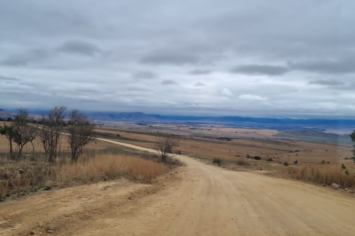 A view of a rural dirt road leading through an expansive open landscape with distant mountains under a cloudy sky.