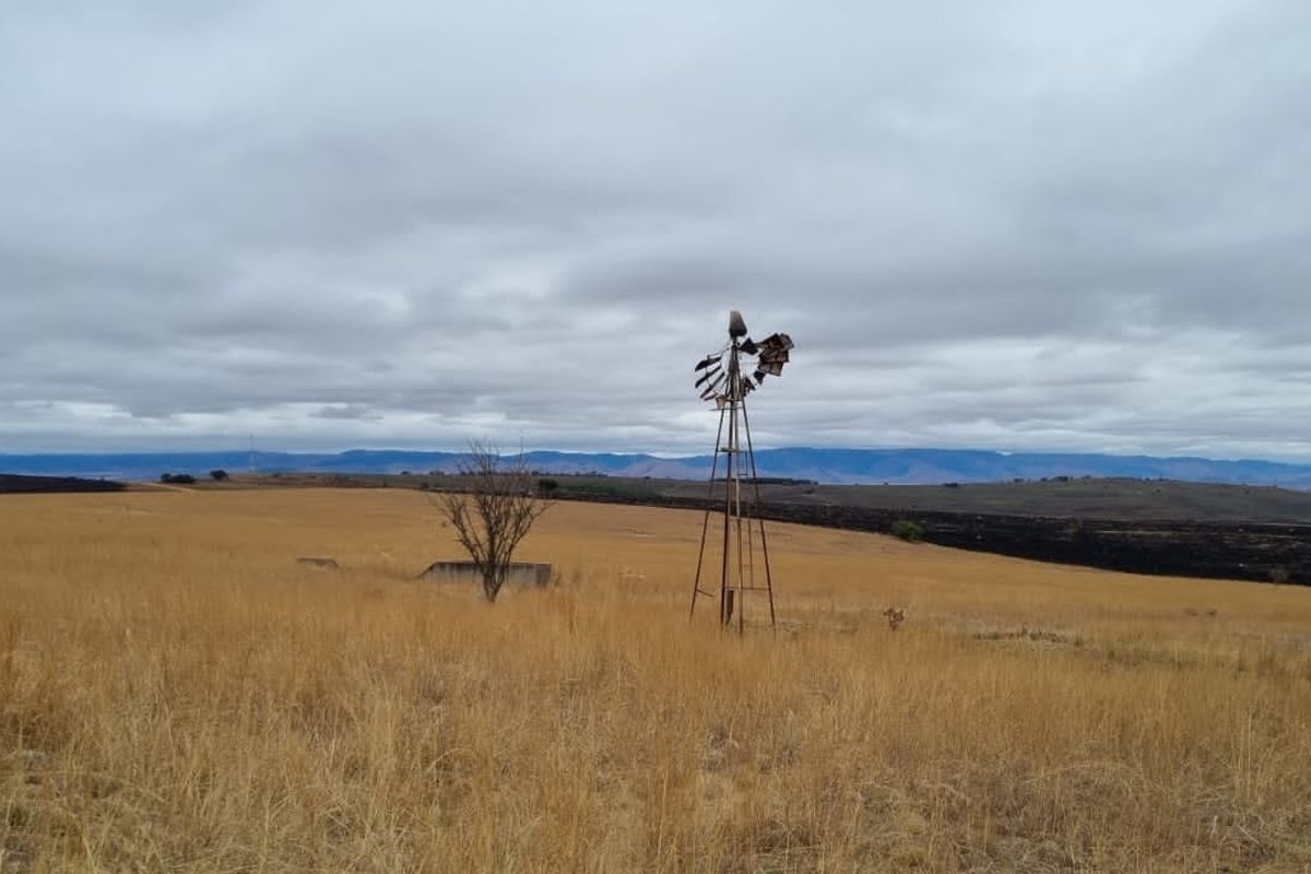1 360 ha arable land in Badplaas - Photo 2