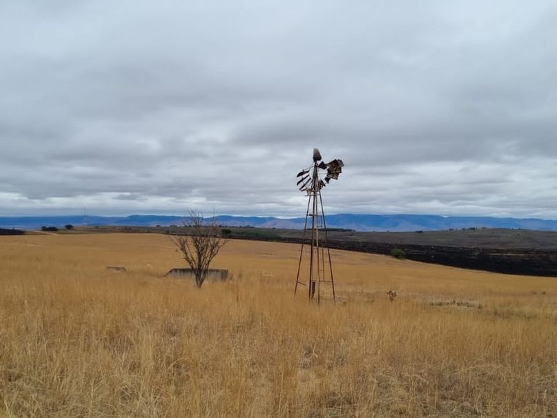 1 360 ha arable land in Badplaas - Photo 2