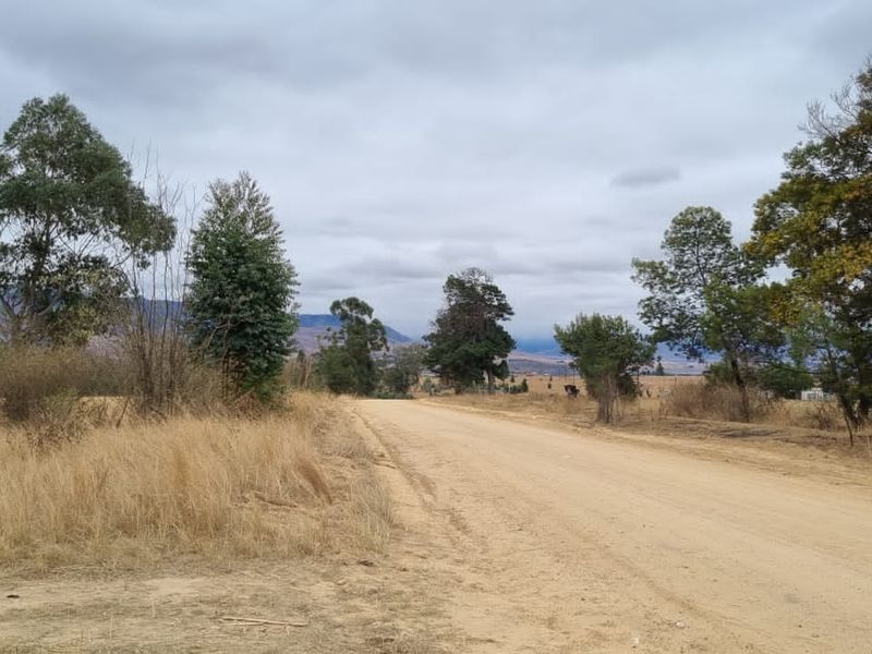 1 360 ha arable land in Badplaas - Photo 10