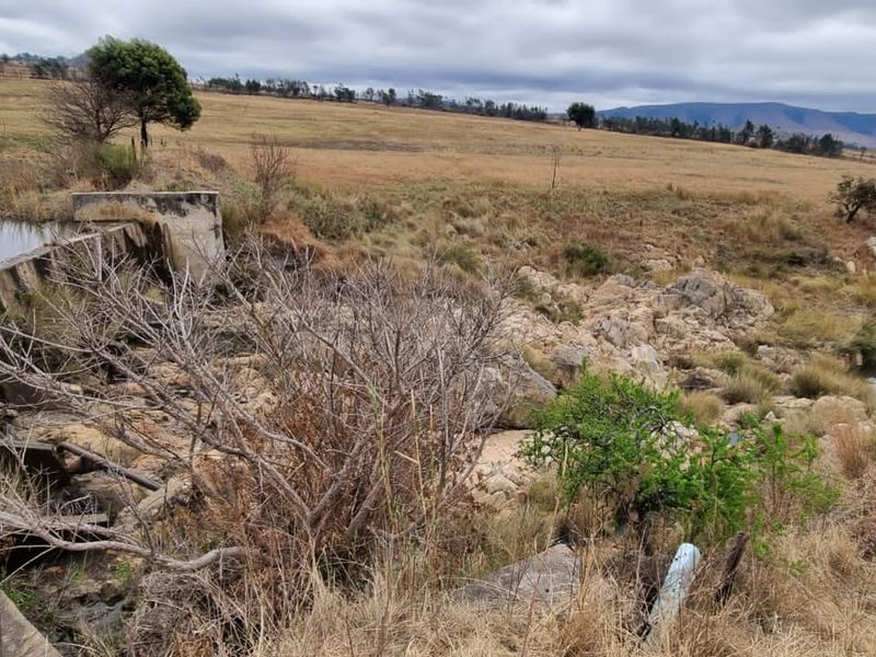 A view of a farm landscape featuring a concrete dam wall and natural rock formations within a rural setting.