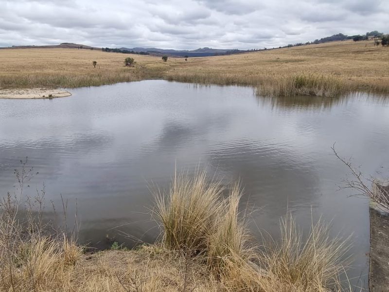 1 360 ha arable land in Badplaas - Photo 9