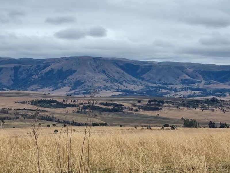 1 360 ha arable land in Badplaas - Photo 8