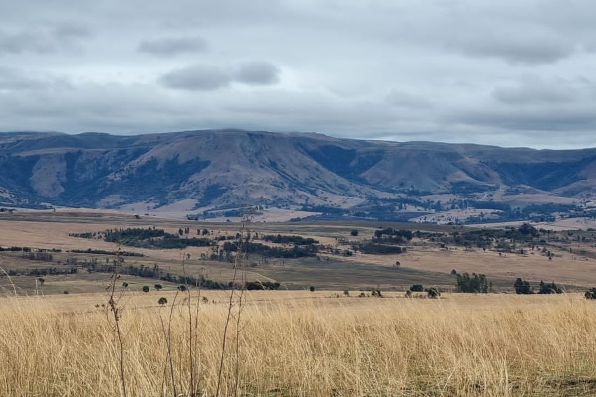 1 360 ha arable land in Badplaas - Photo 2