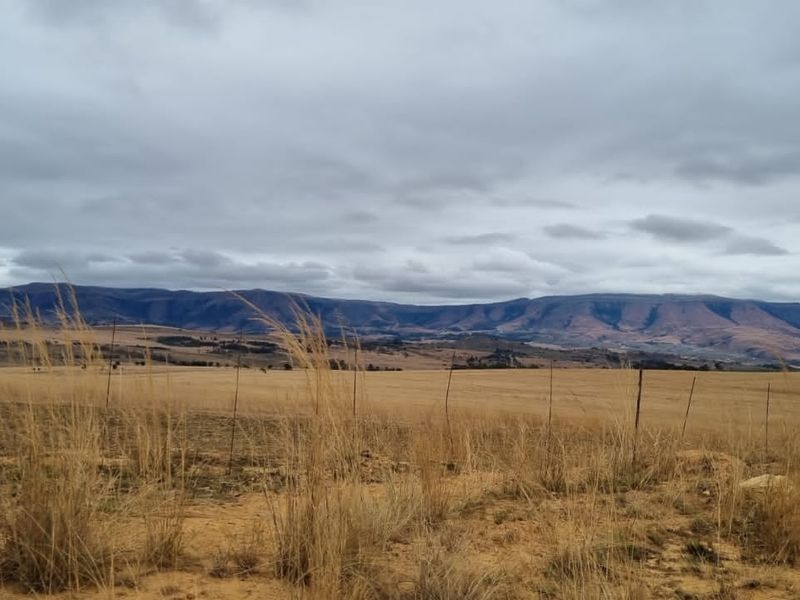 1 360 ha arable land in Badplaas - Photo 7