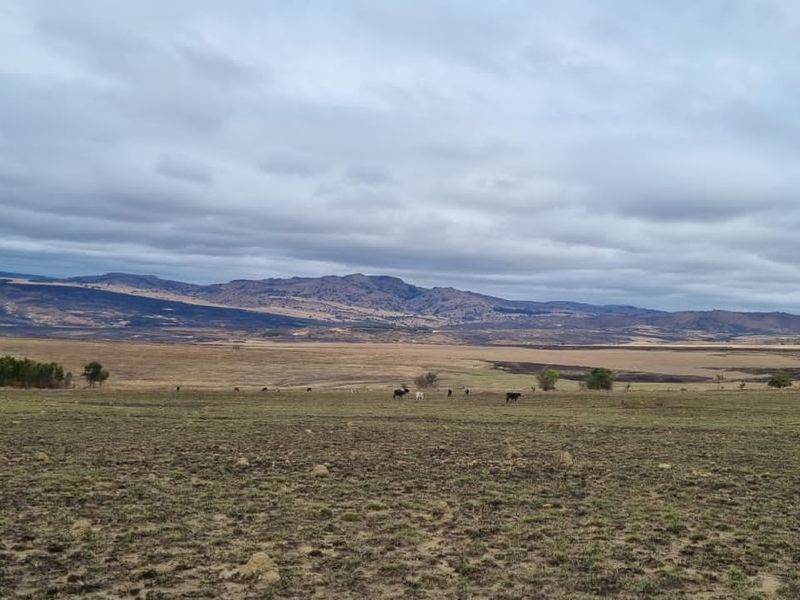 1 360 ha arable land in Badplaas - Photo 6