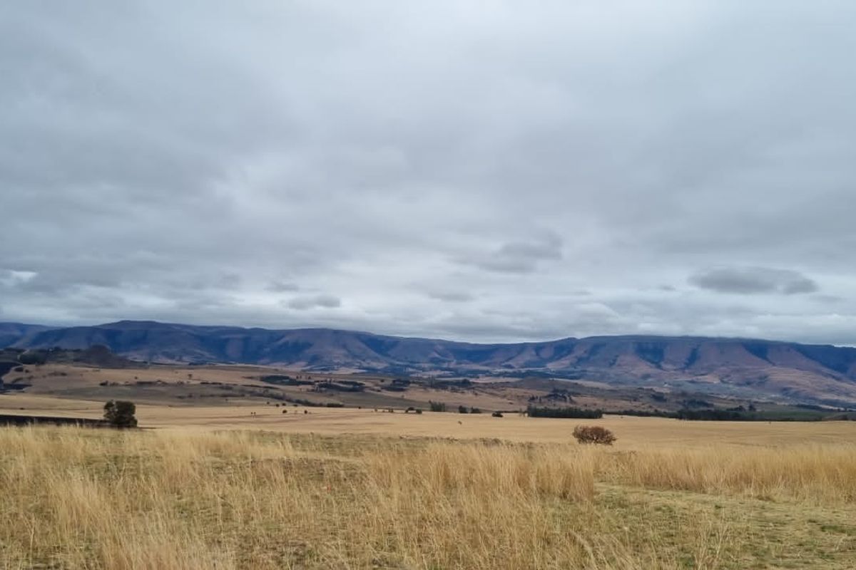 1 360 ha arable land in Badplaas - Photo 3