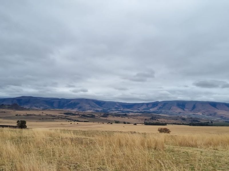 1 360 ha arable land in Badplaas - Photo 3