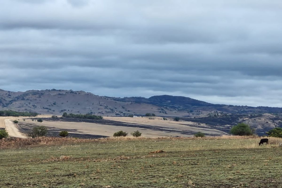 1 360 ha arable land in Badplaas - Photo 4