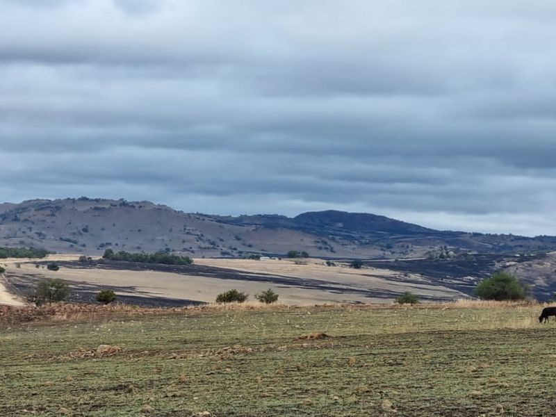 1 360 ha arable land in Badplaas - Photo 4