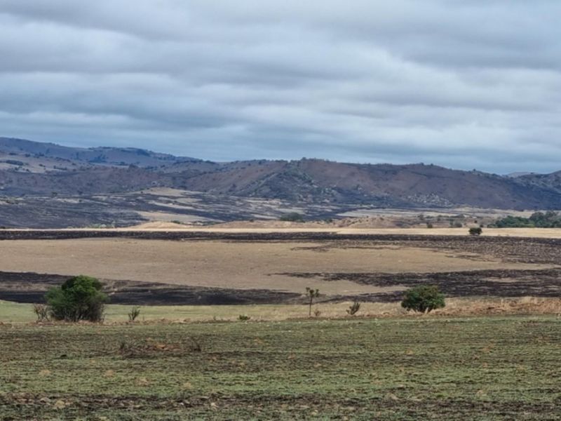 1 360 ha arable land in Badplaas - Photo 10